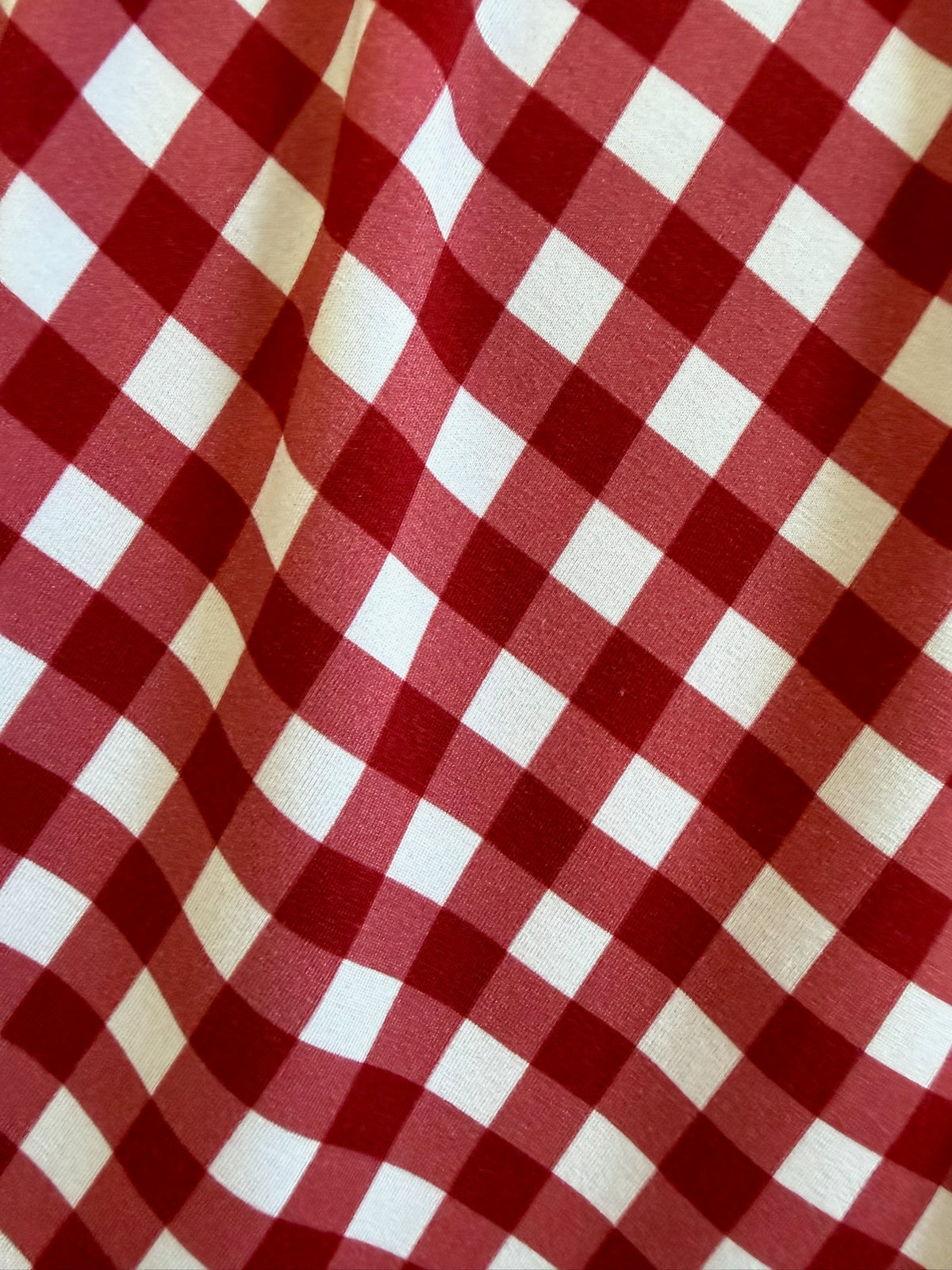 Red and white checkin’ it twice / ruffle gingham blanket in a checkered fabric with a ruffled fold.